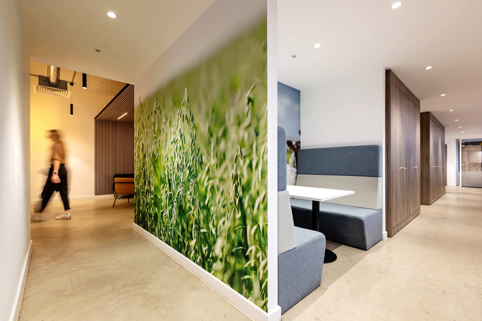 Office Design With Wall Graphics